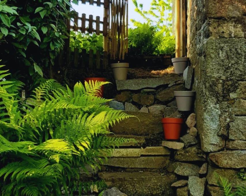 Maison En Pierre Au Milieu Du Bocage Coulouvray-Boisbenatre Bagian luar foto