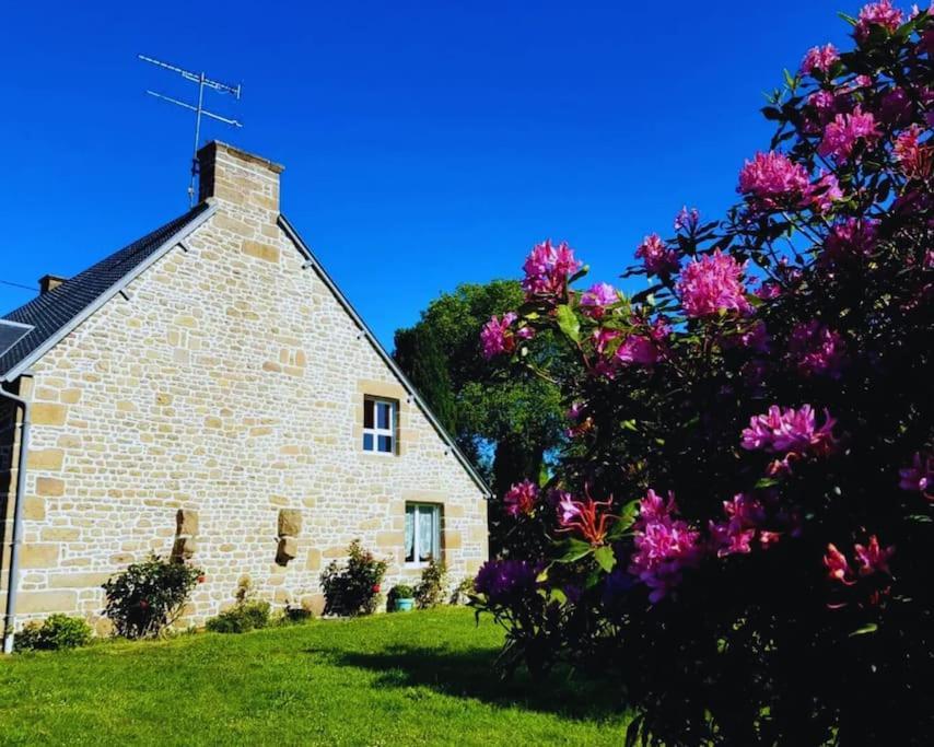 Maison En Pierre Au Milieu Du Bocage Coulouvray-Boisbenatre Bagian luar foto